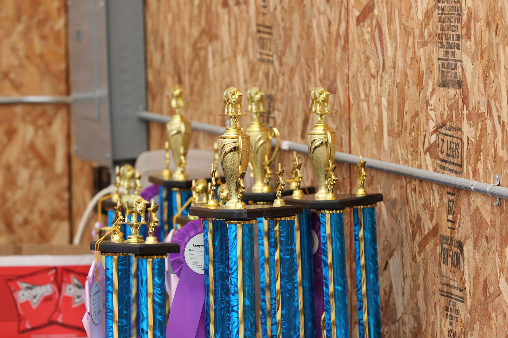 Trophies.JPG
